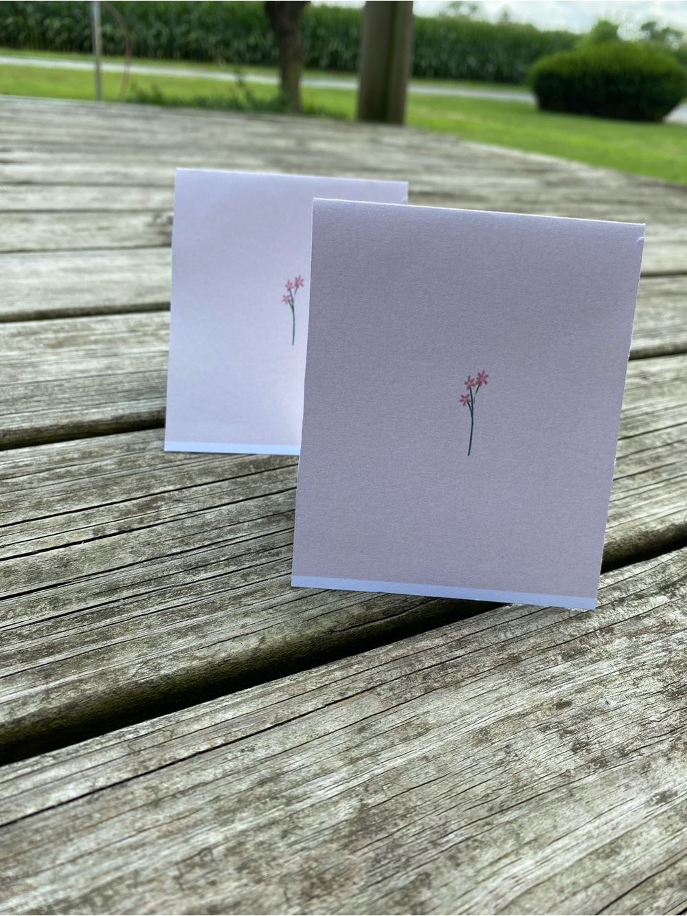 Cowboy Ranch Cards and Envelopes - Picture 5 of 6